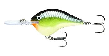 Amazon | Rapala(ラパラ) クランクベイト DT ダイブストゥ 7cm